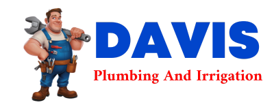 Trusted plumber in DAGGETT